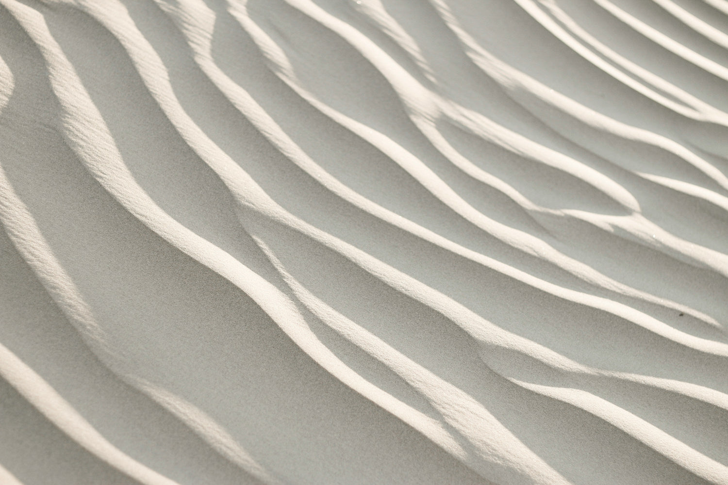 Close‑up of green leaf texture representing Syren Spreads adaptogens in beauty chocolate