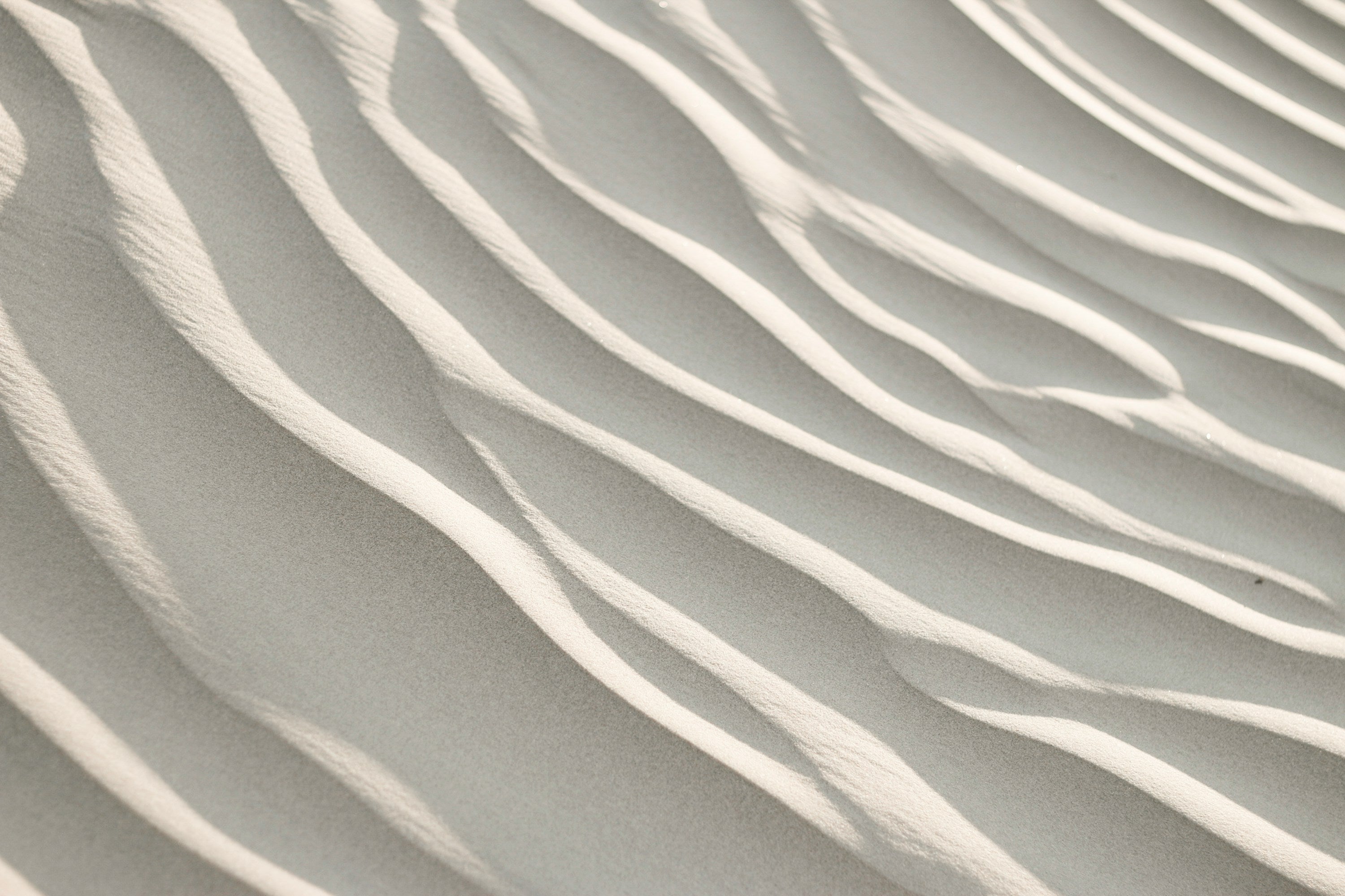 Close‑up of green leaf texture representing Syren Spreads adaptogens in beauty chocolate