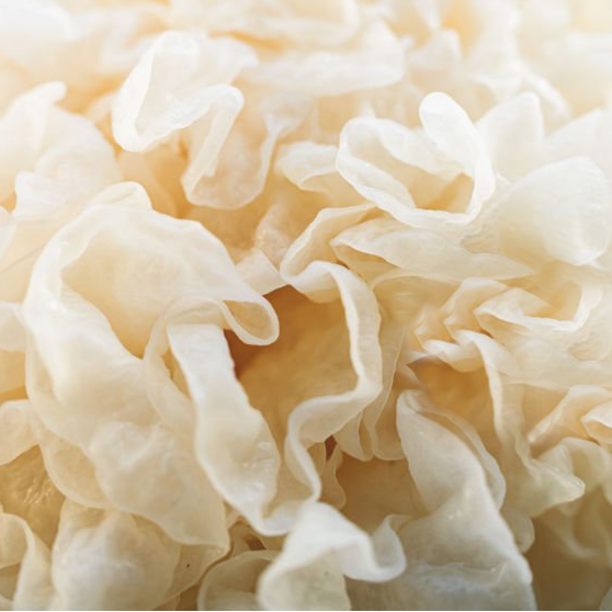 Close-up of white tremella mushrooms, tremella fuciformis with a soft focus